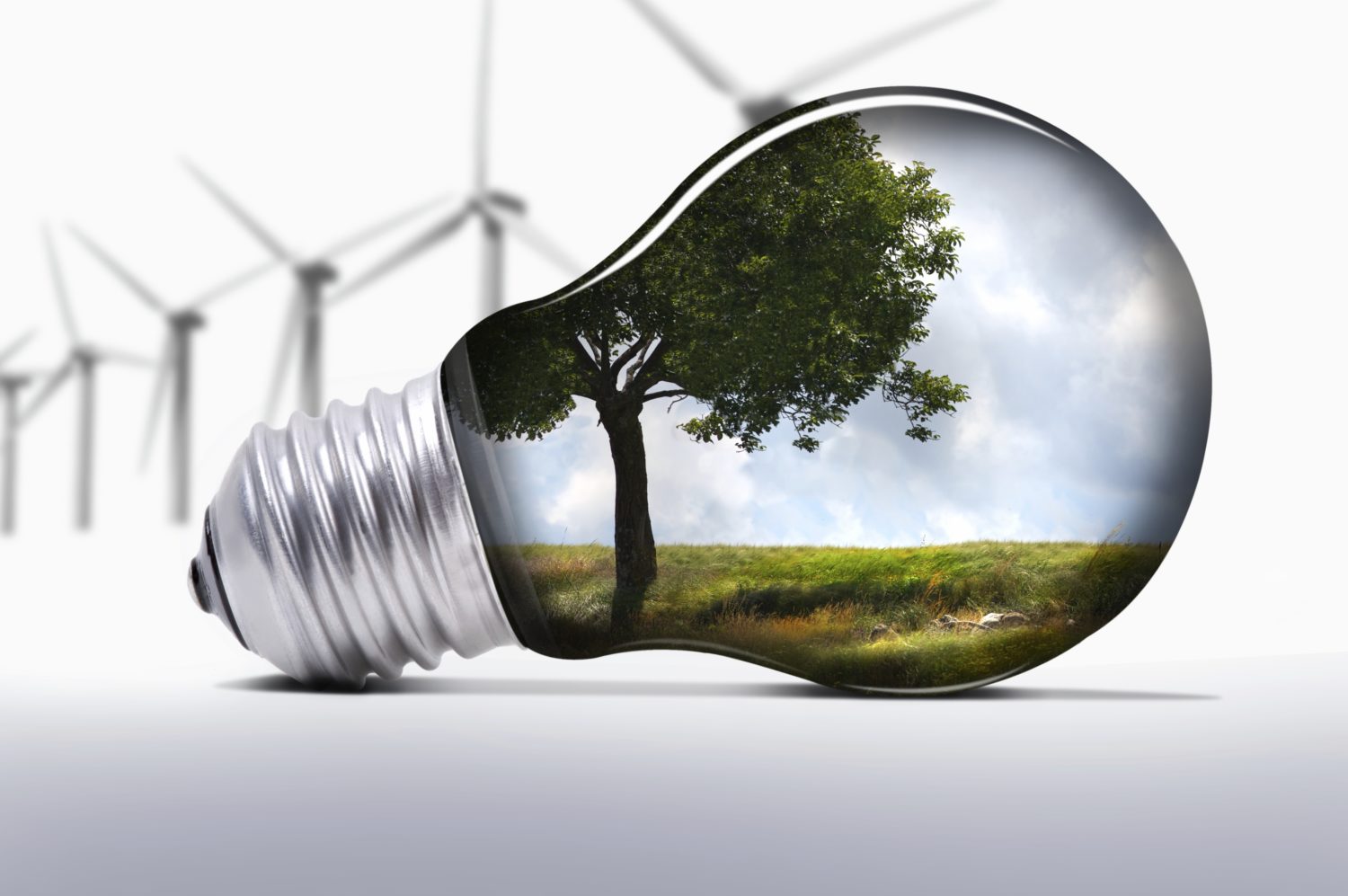Green Manufacturing