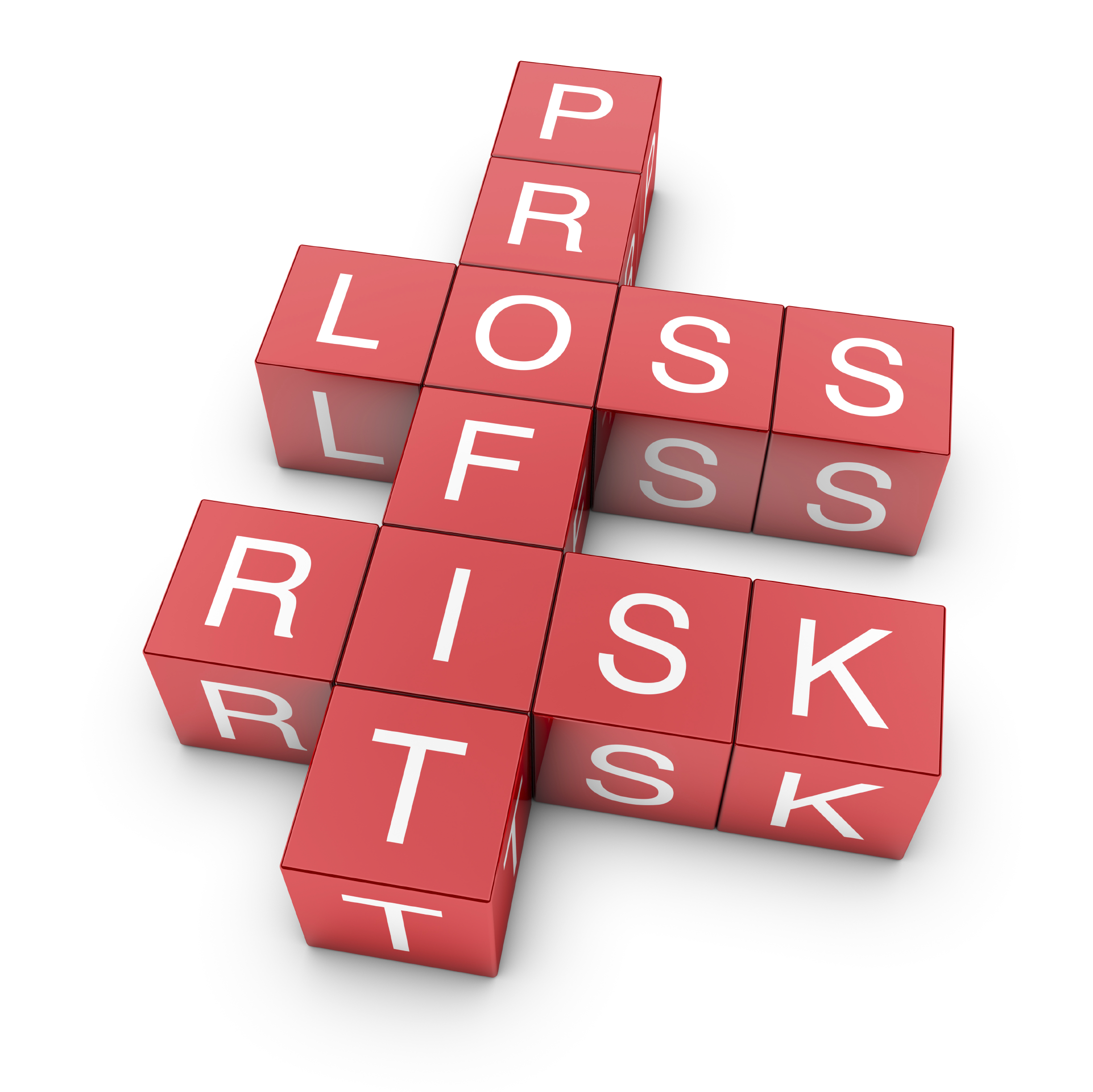 Risk Profit Loss